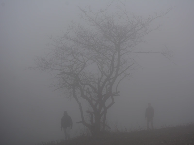 George Washington & Jefferson National Forests, Vesuvius, Virginia, United States, 2023.