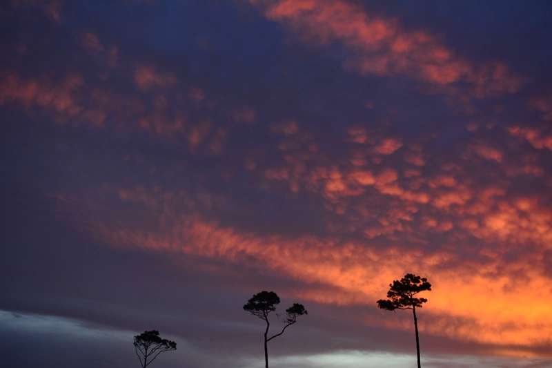 Hilton Head Island, Hilton Head Island, South Carolina, United States, 2021.