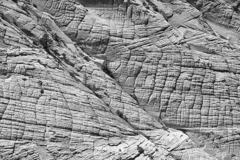 Rock face, Zion National Park. Virgin, Mojave Desert, United States (2021).