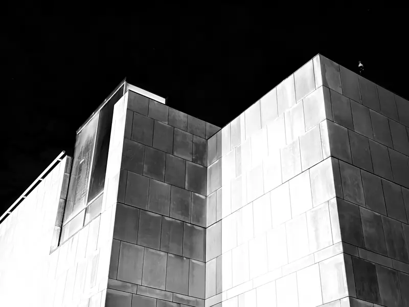 Virginia Museum of Fine Arts, Richmond, Virginia, United States, 2025.